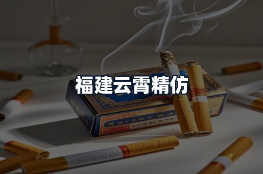福建云霄精仿